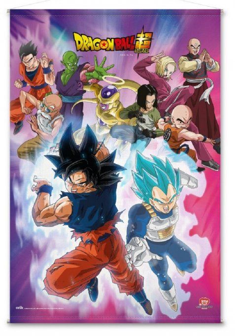 Dragon Ball Universe 7 Warriors Poster en Tissu 70x100 cm