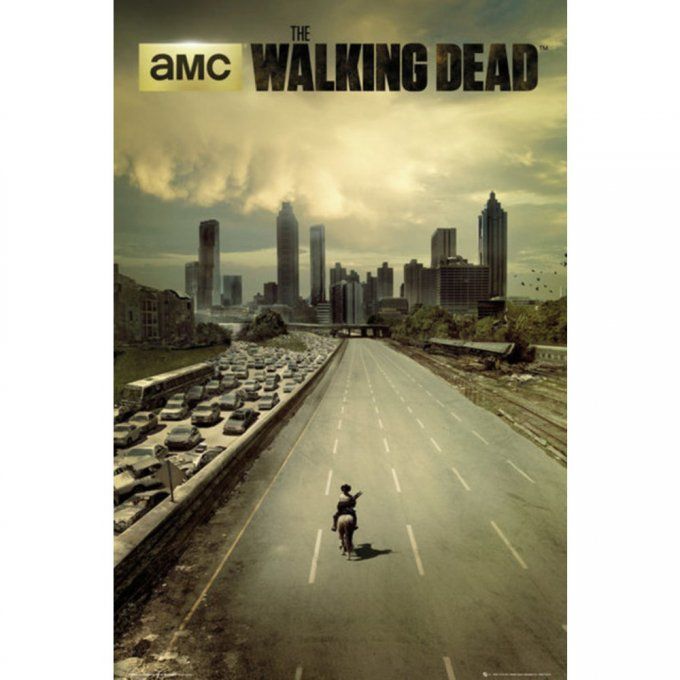 The Walking Dead (Dead City) Poster 61x91.5cm